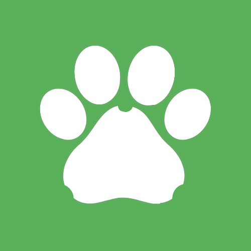 Paty Logo